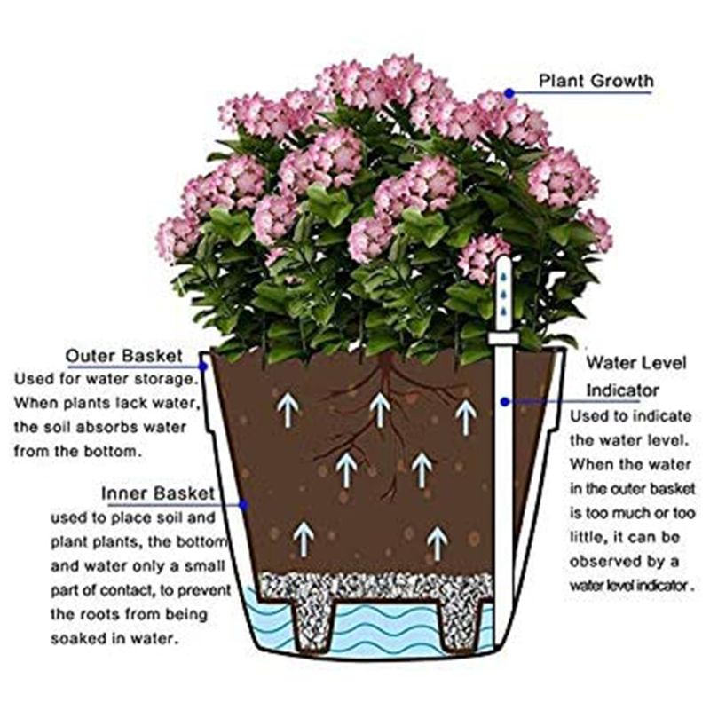Self Watering Planters Flower Pots Indoor with Water Level Indicators (6 x 5 inches)